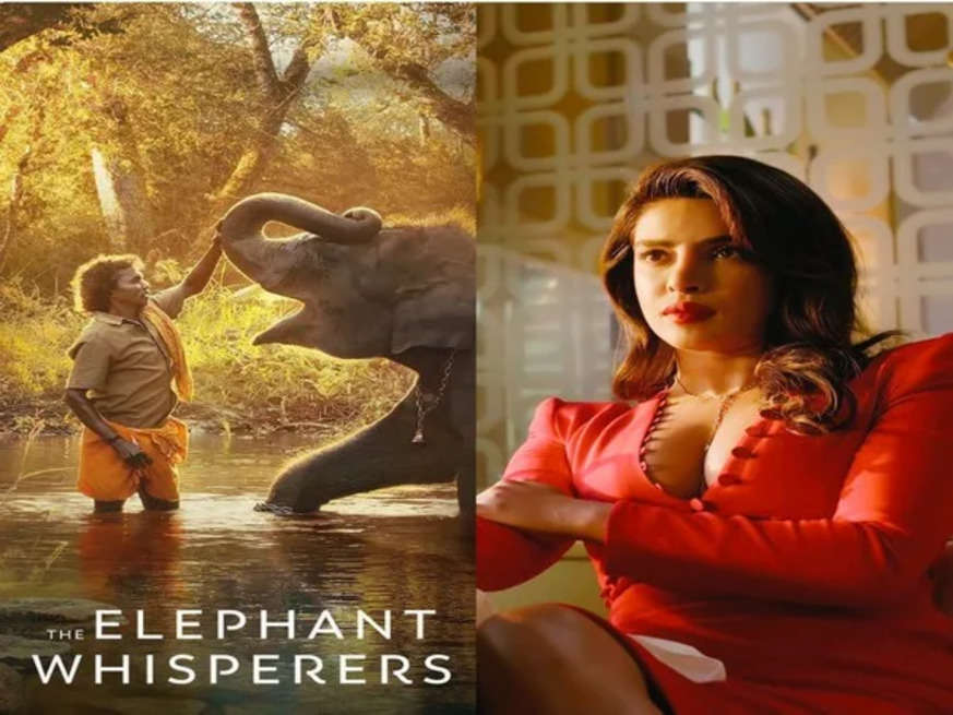 Priyanka Chopra ने इस ऑस्कर नॉमिनेटेड फिल्म की करी समीक्षा,बताया कैसी है फिल्म 